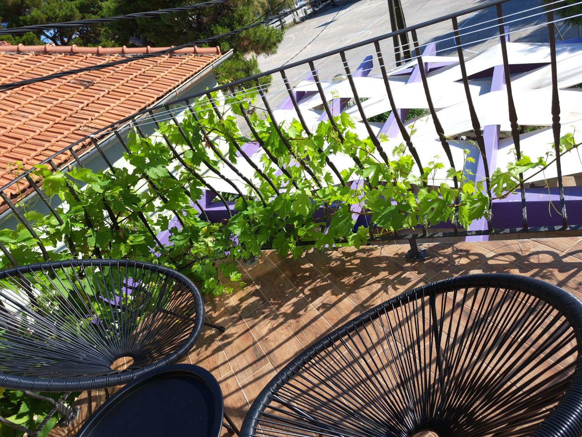 Jardin Kapetanova Kuca Apartment Veli Iz Bagian luar foto