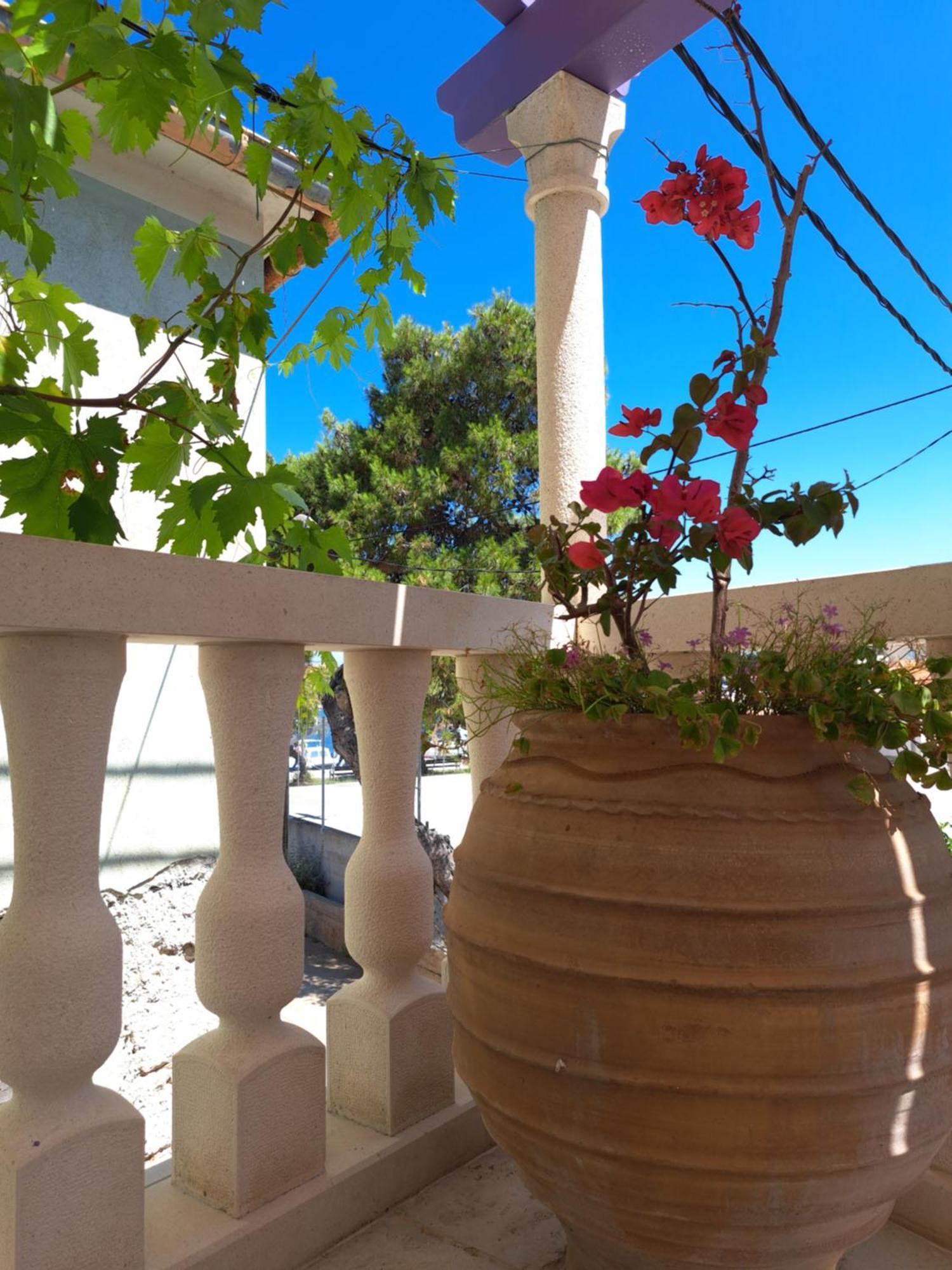 Jardin Kapetanova Kuca Apartment Veli Iz Bagian luar foto